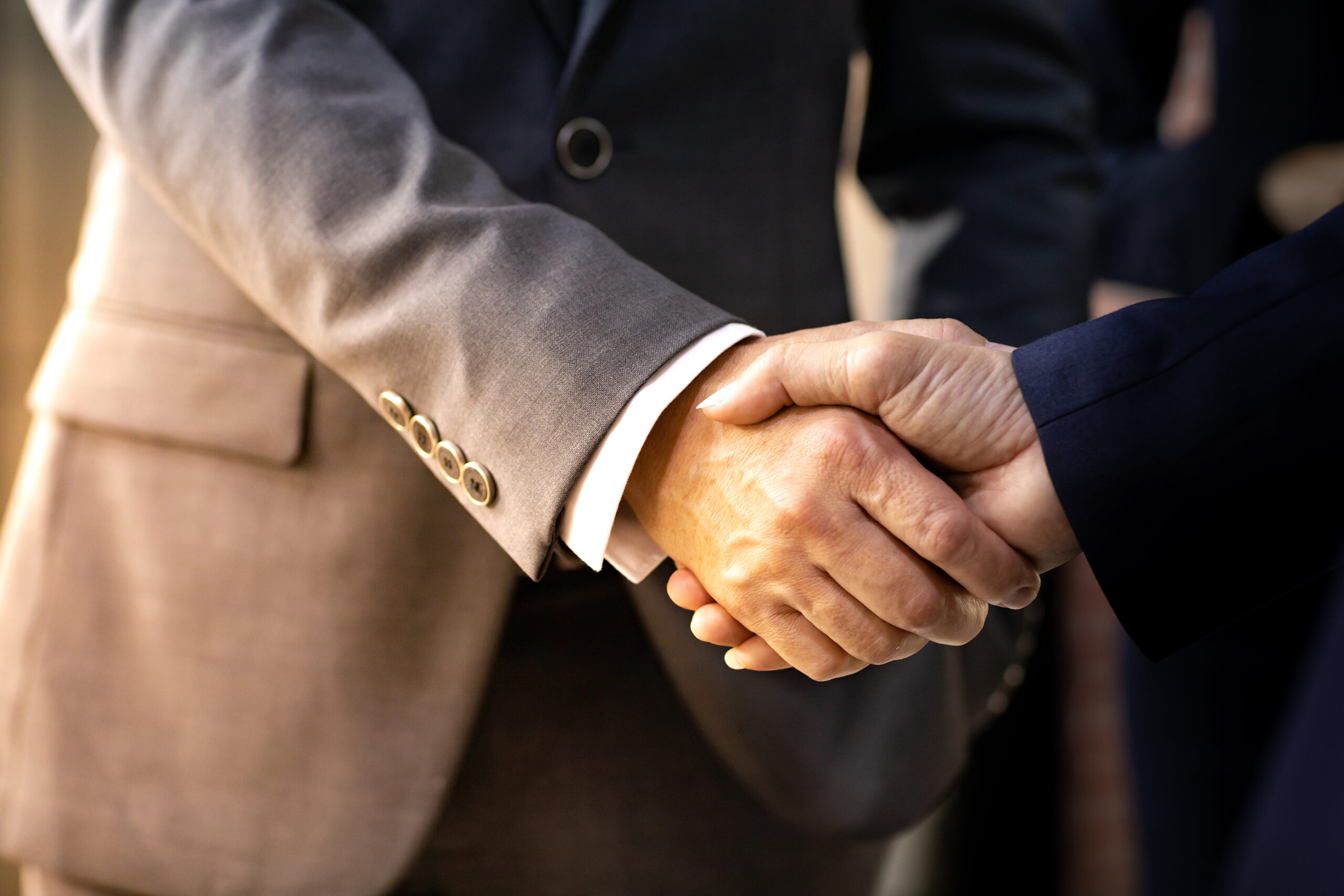 Two business professionals shaking hands for business deal.